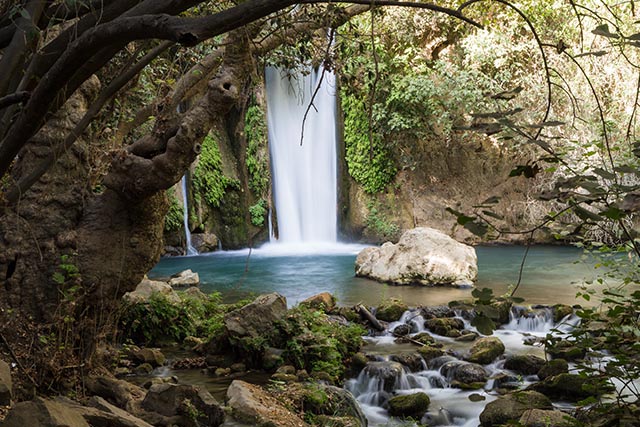 הסעות בצפון